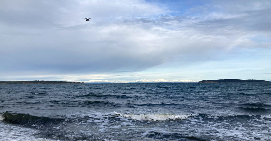 winter beach