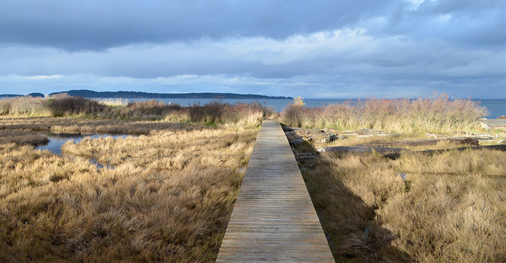 boardwalk