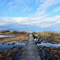 boardwalk